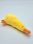 Platz the Platypus-5