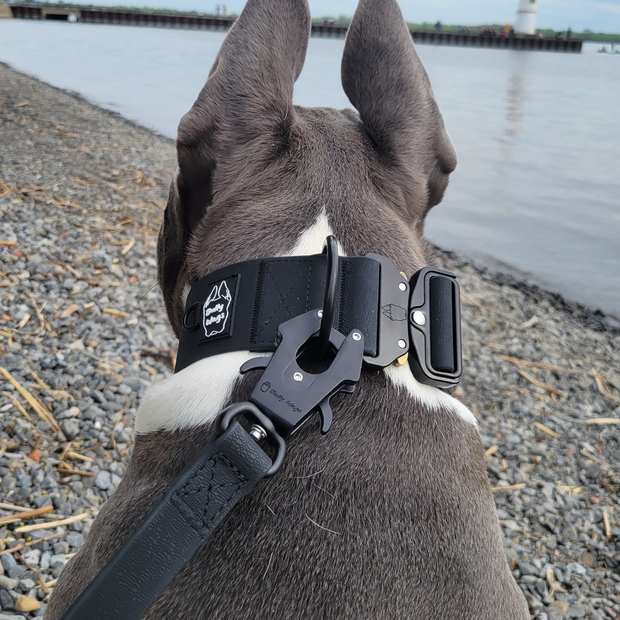 2 inch Waterproof PVC Dog Collar 2.0-1