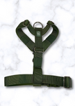 Y Strap Adventure Harness - Cactus Green-1
