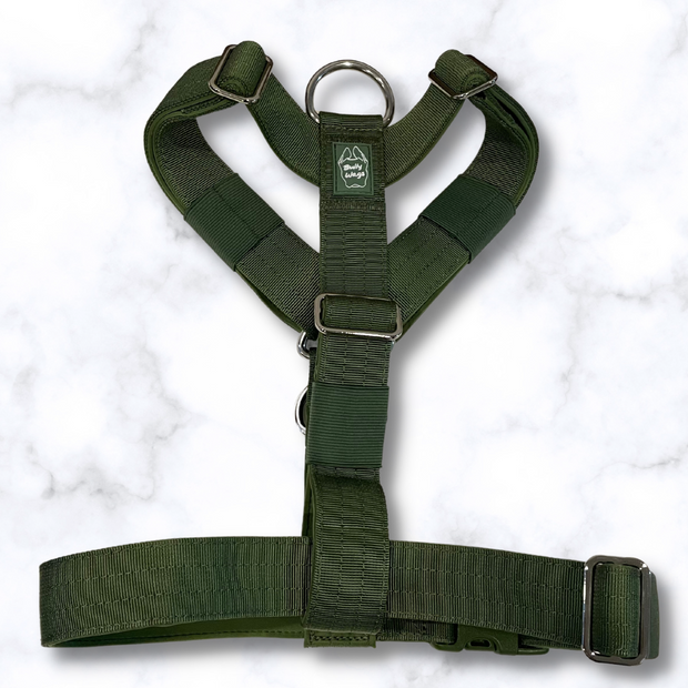 Y Strap Adventure Harness - Cactus Green-1