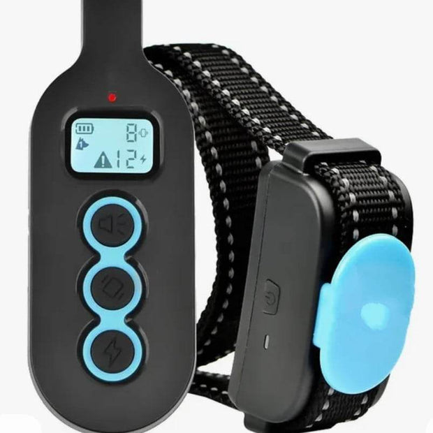 Collar P 350 Collier de formation à distance