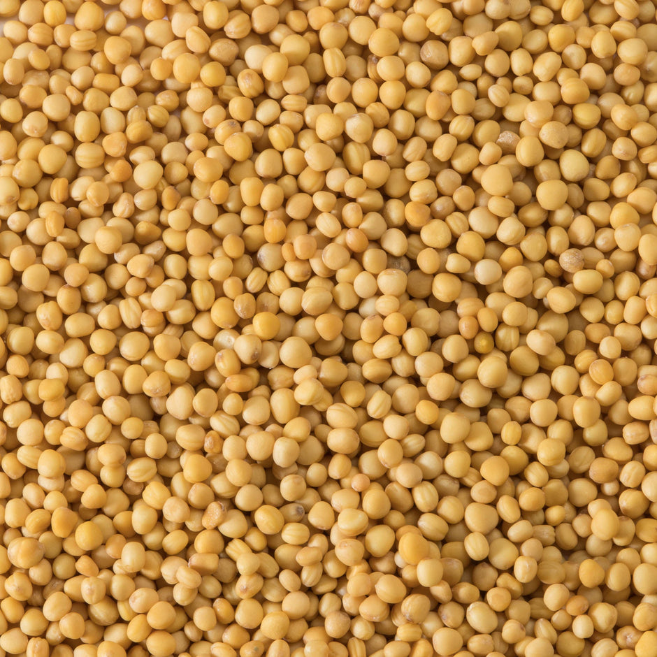 Spice Mustard Seeds - 12 x 750 g (Case = 1 x 750 g) - Clubhouse - Restaurant and Foodservice Ingredients - Canadian Distribution-3