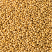 Spice Mustard Seeds - 12 x 750 g (Case = 1 x 750 g) - Clubhouse - Restaurant and Foodservice Ingredients - Canadian Distribution-3