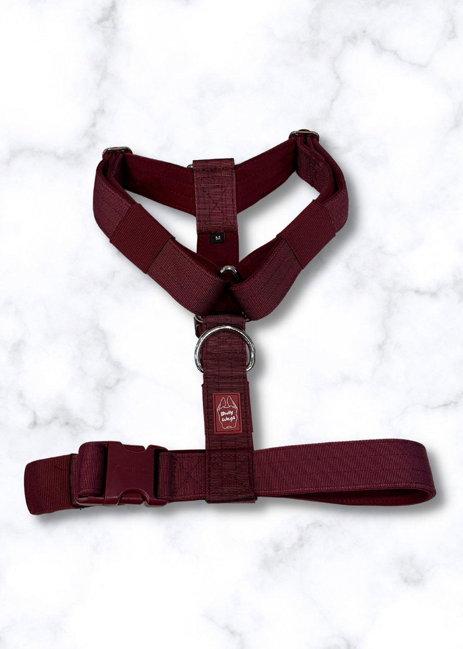 Y Strap Adventure Harness - Cherry Wine-0