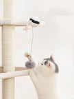 Smart Interactive Electric Cat Teaser Toy-3