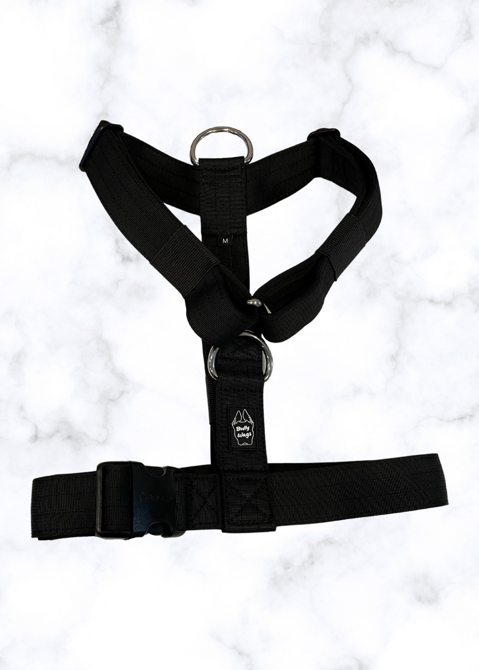 Y Strap Adventure Harness - Black-0