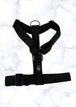 Y Strap Adventure Harness - Black-0