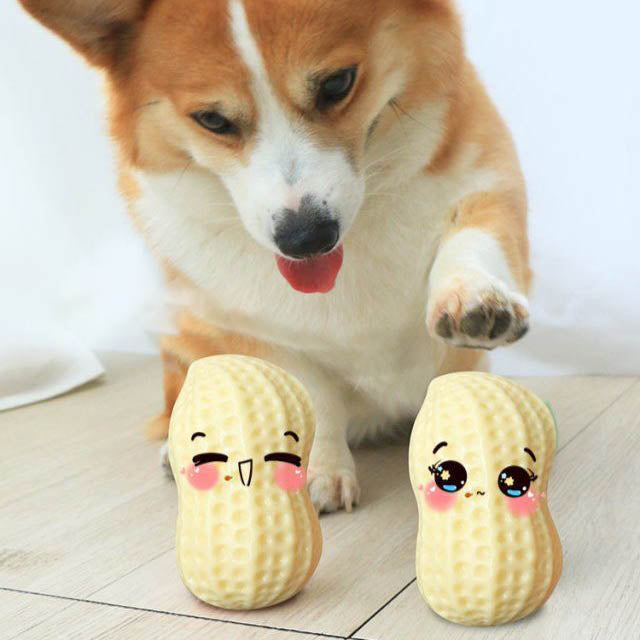 Funny Pet Dog Squeaky Peanut Chew Toy-0