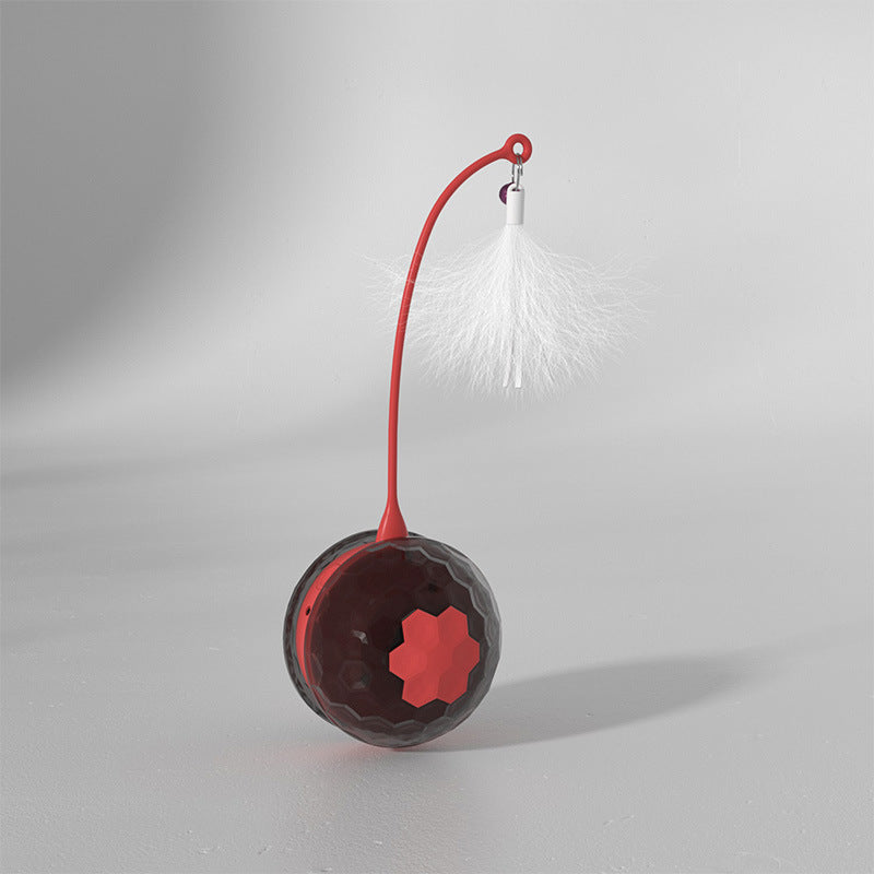 Electric Interactive Cat Toy-5