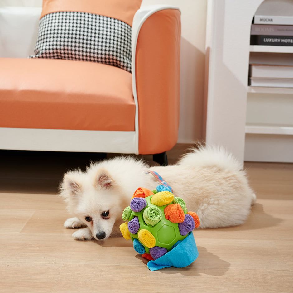 Interactive Dog Sniffing Ball Puzzle Toy-1