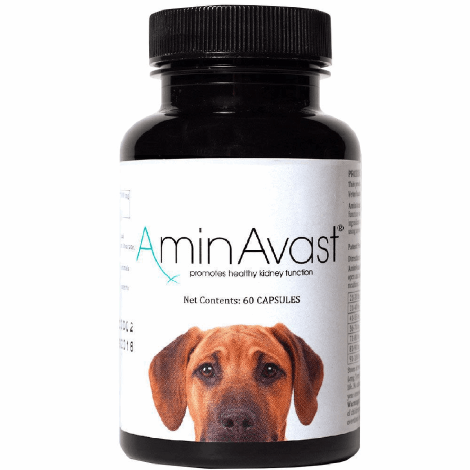 AminAvast Kidney Support for Dogs (60 capsules)