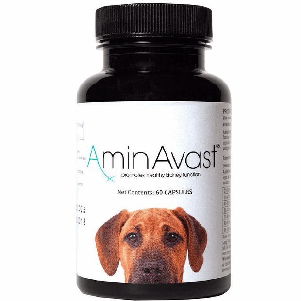 AminAvast Kidney Support for Dogs (60 capsules)