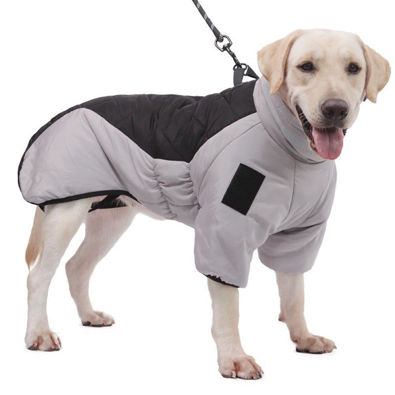 Dog Warm and Cozy in Style-1