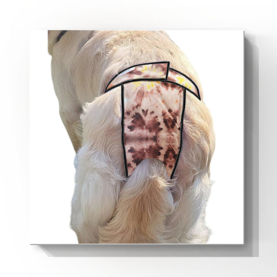 High-Cut Dog Diaper Britches | Brown Tie Dye-0