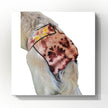 Female Dog Diaper | Britches | With Tail Opening |Brown Tie Dye Print-0