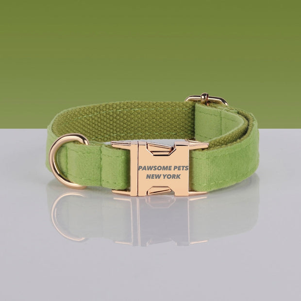 PAWSOME DOG COLLAR - #7-0