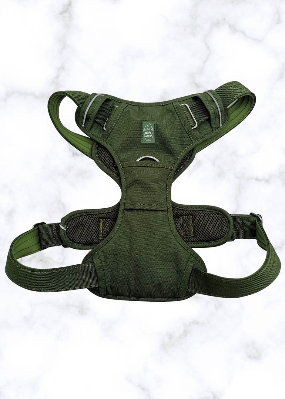 Heavy-Duty Everyday Harness - Cactus Green-1
