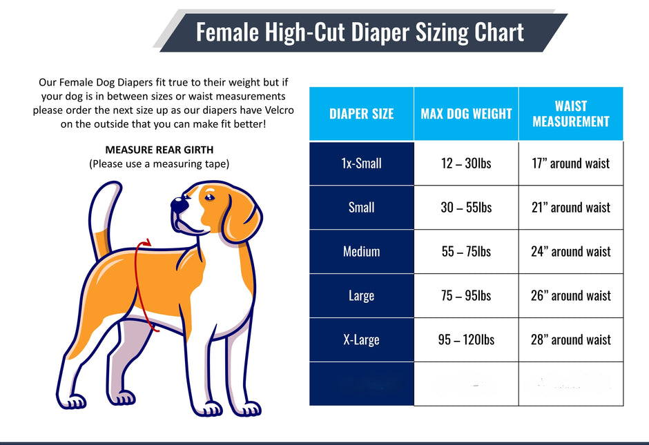 High-Cut Dog Diaper Britches |Canadian Maple Leaf Print-3