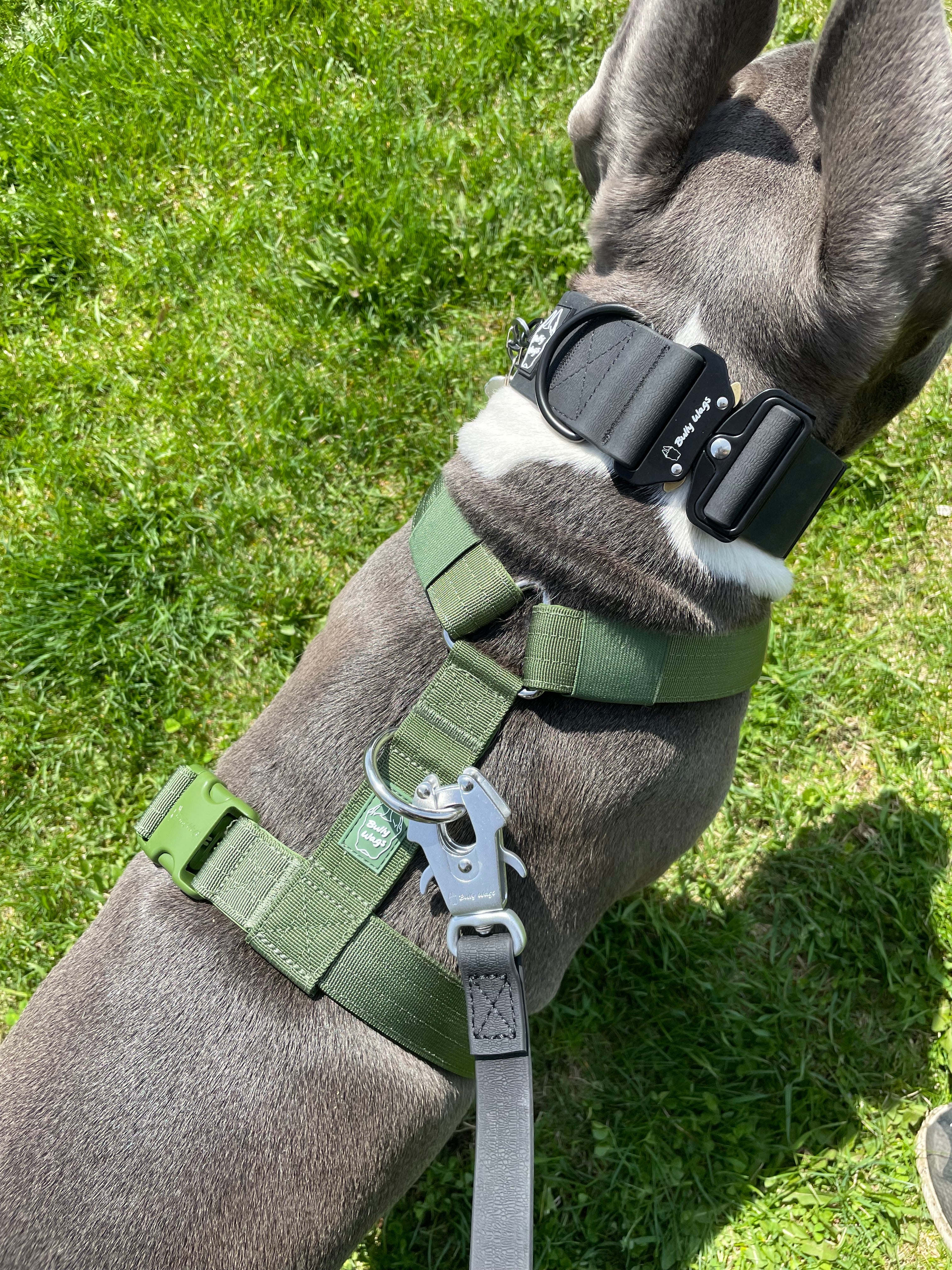 Y Strap Adventure Harness - Cactus Green-3