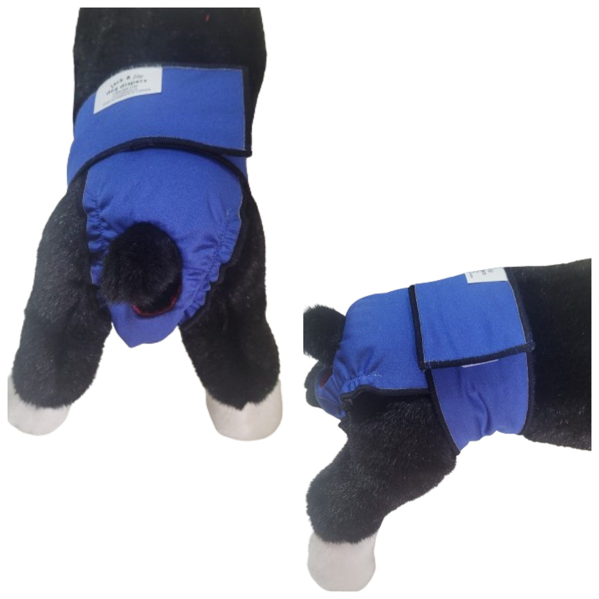 High-Cut Dog Diaper Britches | Royal Blue Print-2