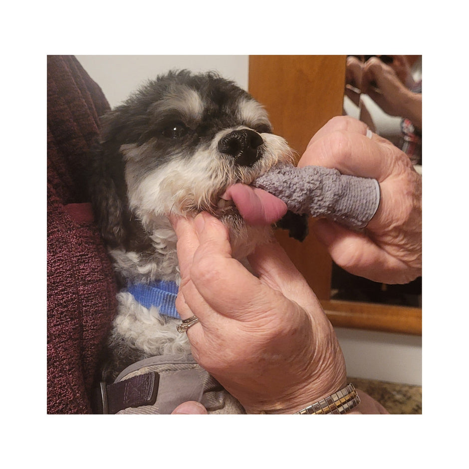 Dog Dental Cloth Wipes-1