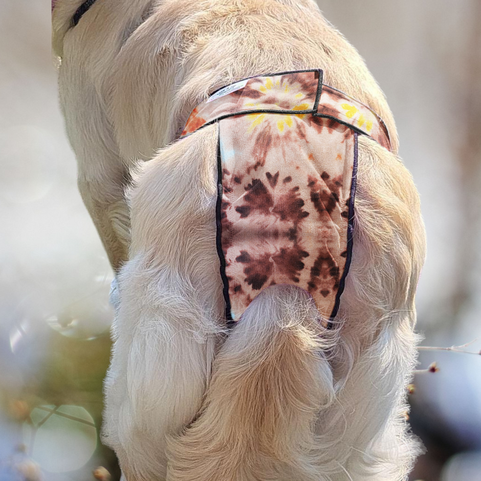 High-Cut Dog Diaper Britches | Brown Tie Dye-2
