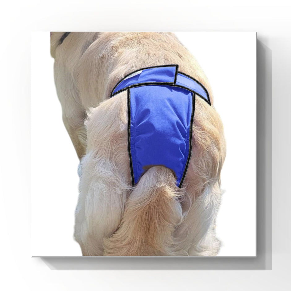 High-Cut Dog Diaper Britches | Royal Blue Print-0