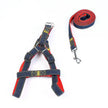 The Hands-Free Dog Leash-1