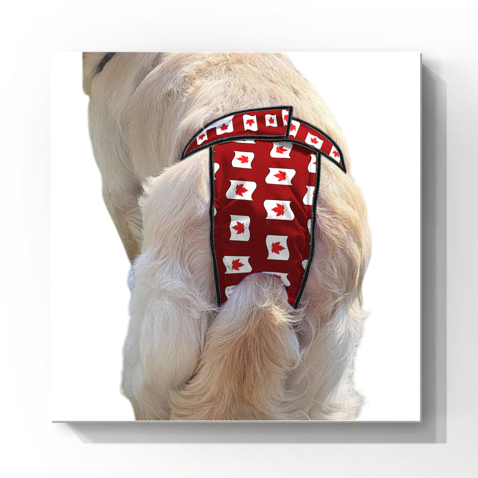 High-Cut Dog Diaper Britches |Canadian Maple Leaf Print-0