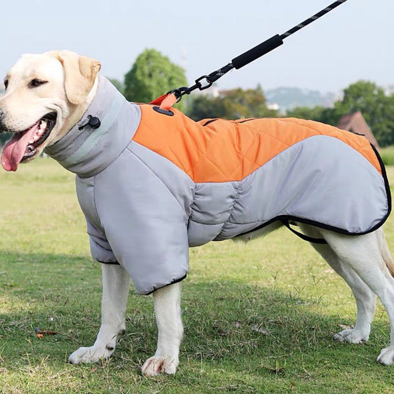 Dog Warm and Cozy in Style-0