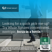 Whole Nature Brain Nootropic Supplement-4