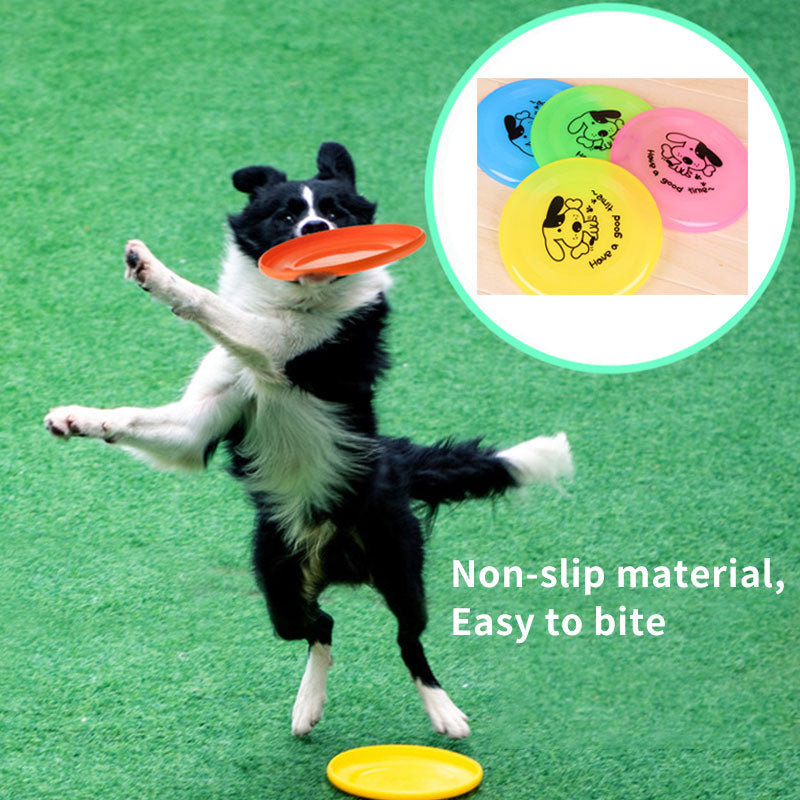 Interactive Disc Dog Toy-0