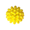 Durable TPR Pet Dog Tooth Cleaning Ball-1