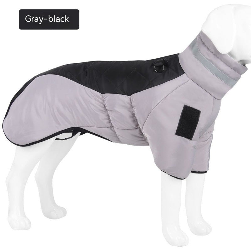 Dog Warm and Cozy in Style-2