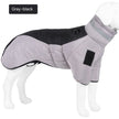 Dog Warm and Cozy in Style-2