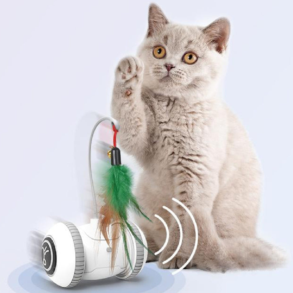 Ultimate Interactive Cat Playmate-0