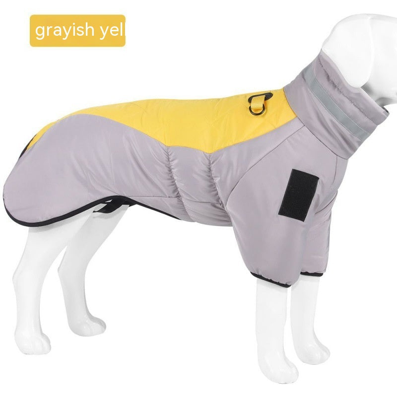 Dog Warm and Cozy in Style-3