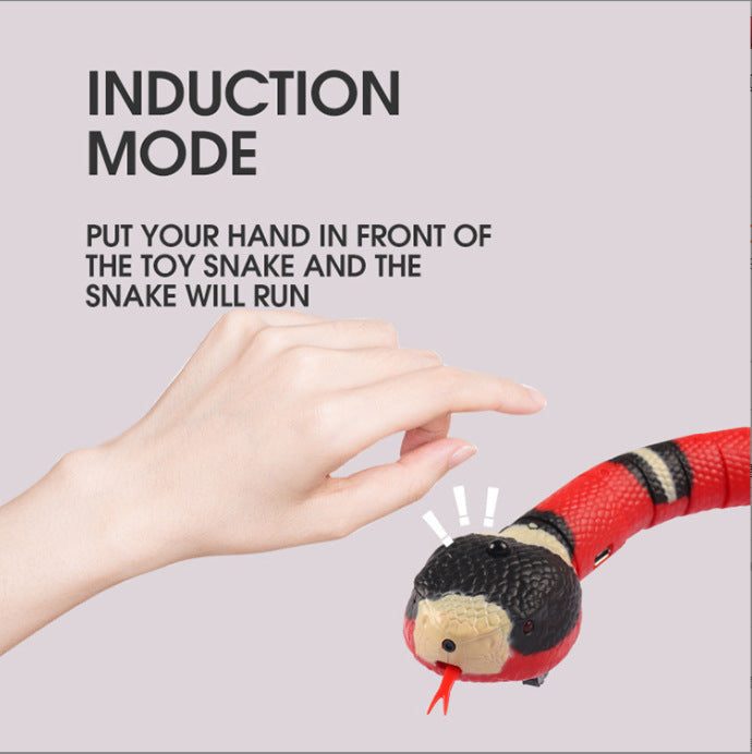 Interactive Smart Sensing Snake Cat Toy-2