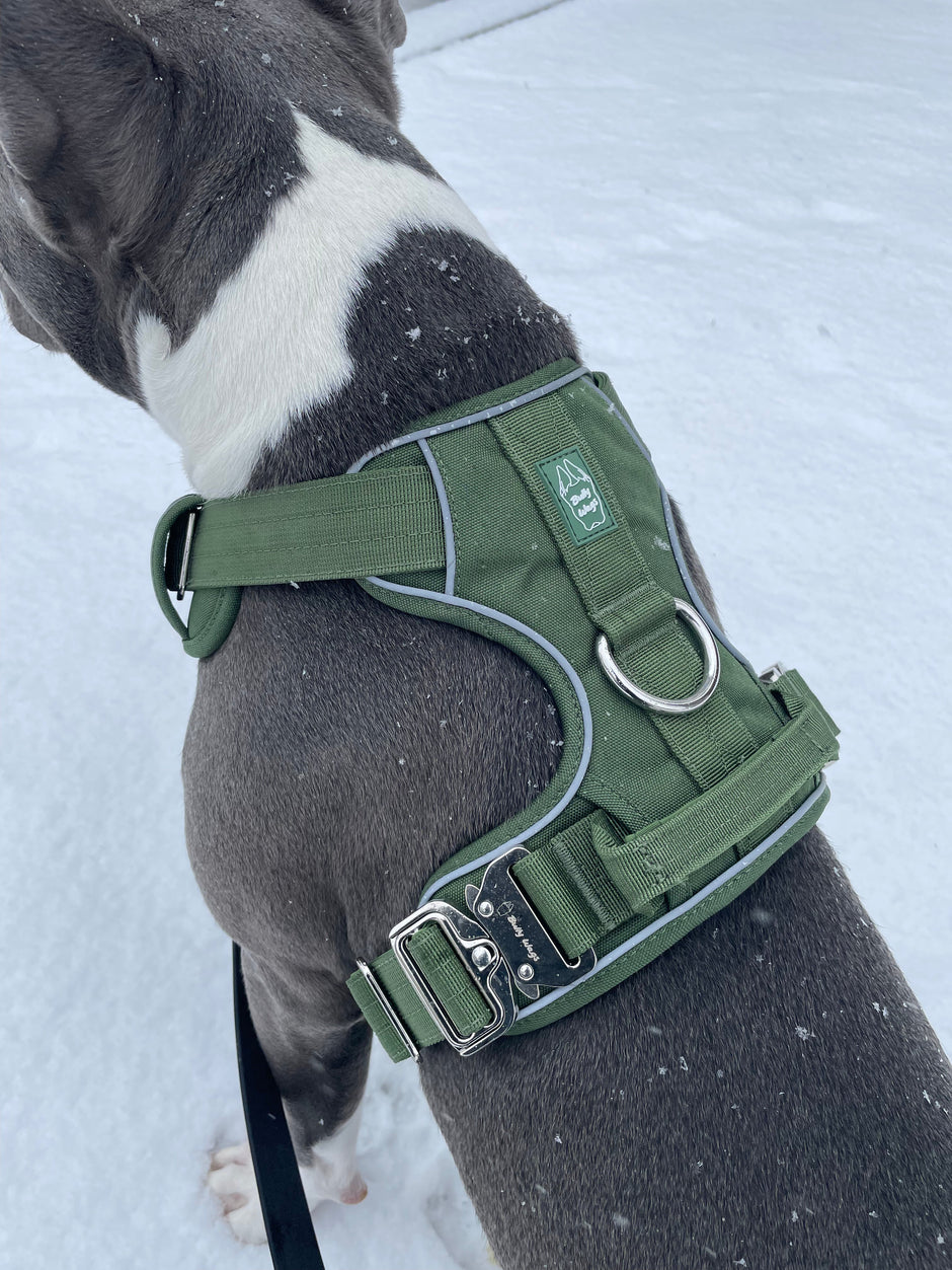 Heavy-Duty Everyday Harness - Cactus Green-3