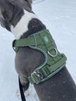 Heavy-Duty Everyday Harness - Cactus Green-3