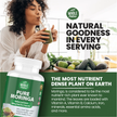 Moringa Capsules, 800mg Organic Moringa Oleifera-2