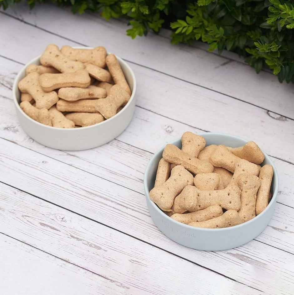 pet bowls-1
