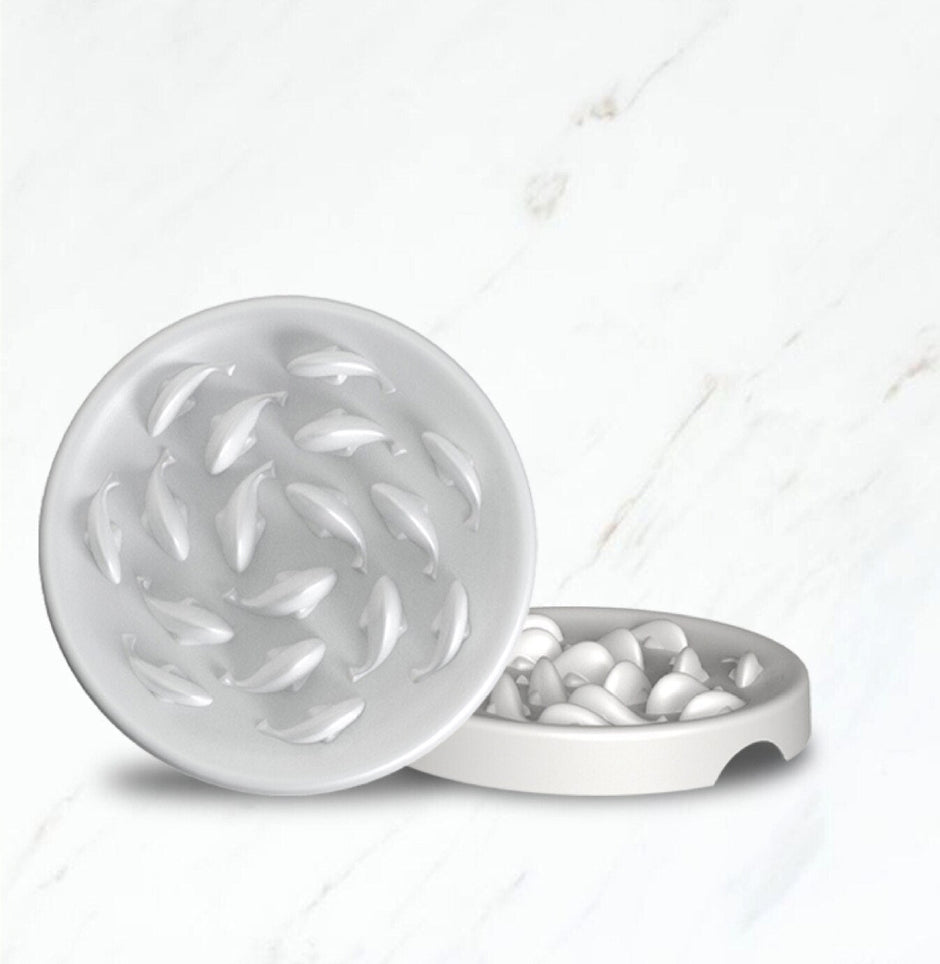 More Style Dog Bowl Anti Choke Dog Feeding Food Bowls Puppy Slow Eating Dog Bowls Feeder Dish Pet Bowl Pet Supplies-2