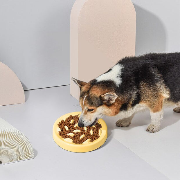 More Style Dog Bowl Anti Choke Dog Feeding Food Bowls Puppy Slow Eating Dog Bowls Feeder Dish Pet Bowl Pet Supplies-8