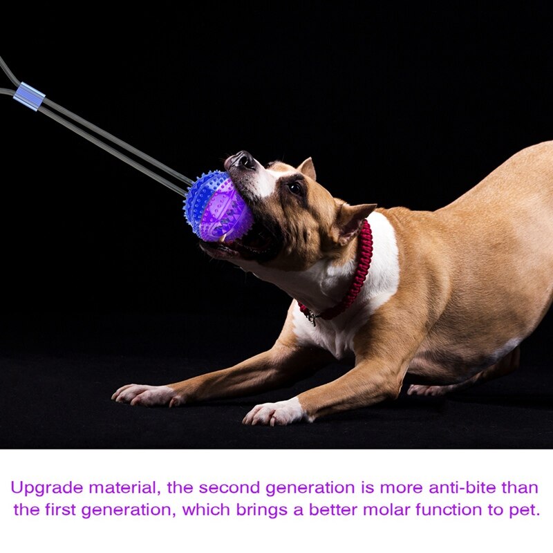 Interactive Pet Toys For Cats Dogs Training Suction Cup Push Ball Toys Elastic Ropes Pet Tooth Cleaning Chewing IQ Exercise New-3