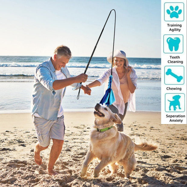 Interactive Dog Cat Feather Toy Feather Teaser Stick Wand Pet Feather Refill Replacement Catcher Product for Kitten-1