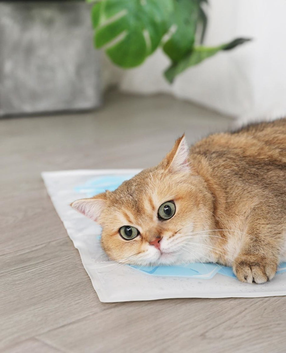 Summer Cooling Pet Ice Mat-2