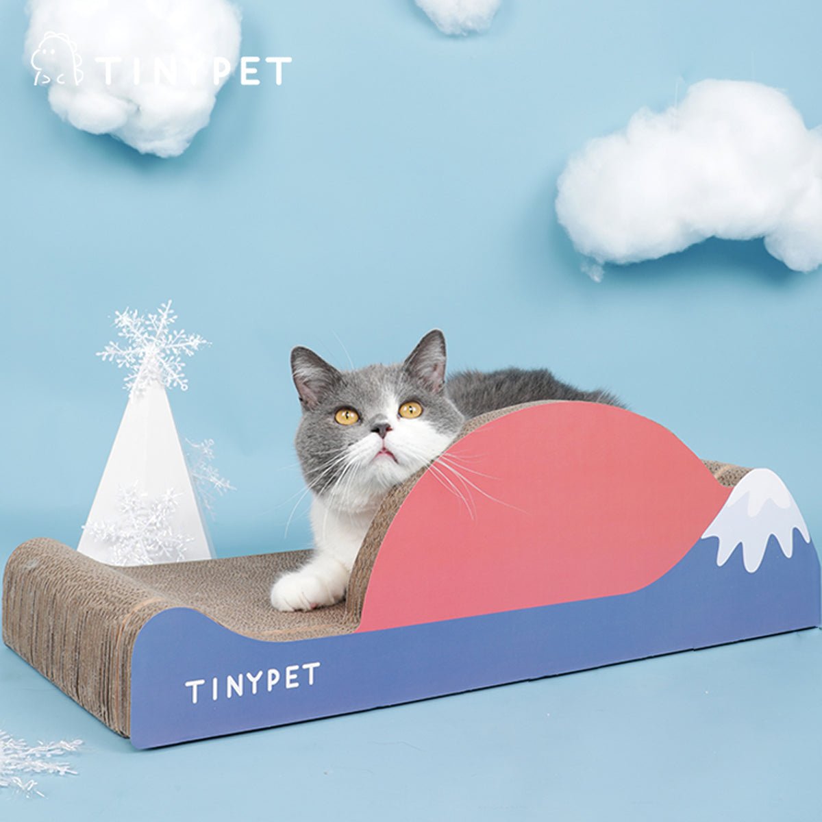Under Mount Fuji Blue Cat Scratching Board-1