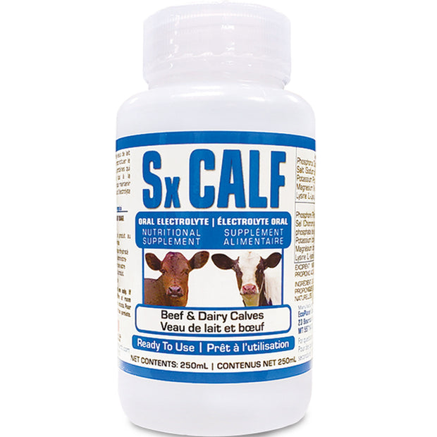 Sx Oral Electrolyte - Calf