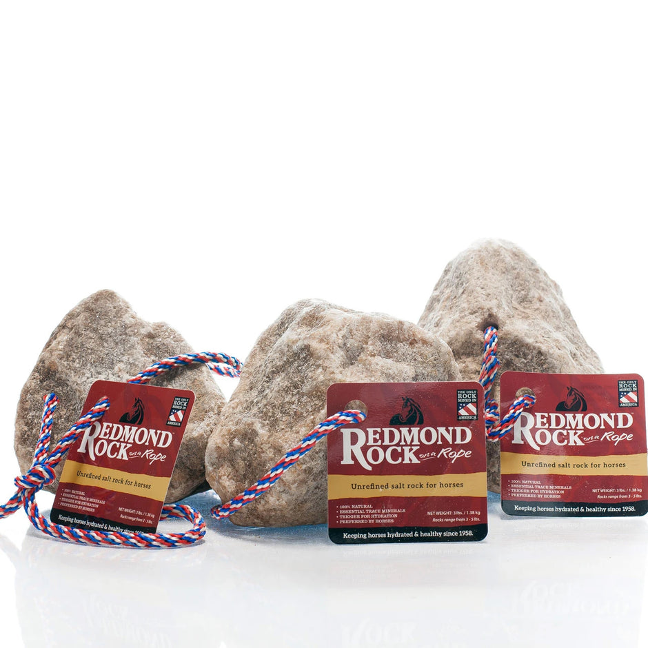Redmond Rock - On a Rope
